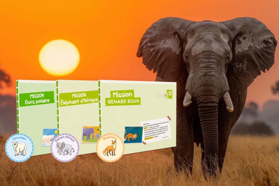 L’abonnement pour les aventuriers passionnés d’animaux